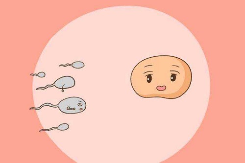 40岁以上美国试管可以生二胎吗？
